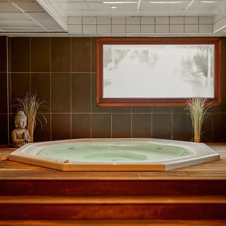 Dormio Les Portes Du Mont Blanc Lejlighedshotel